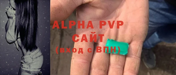 стаф Козельск