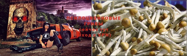 герыч Коряжма