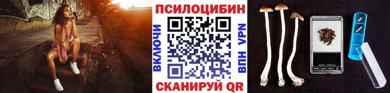 Купить где  Макаров  Псилоцибиновые грибы Psilocybine cubensis 